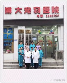 在2018年的最后一天,博大寵物醫(yī)院收到了最好的兩個(gè)禮物