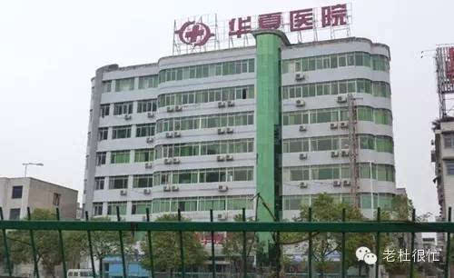 莆田系壯大史,大家必須要看看