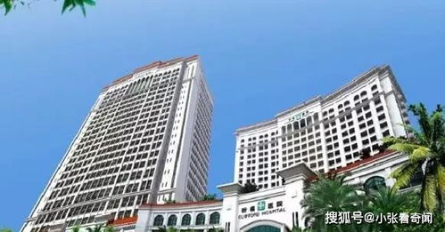 一個病人導致整家三甲醫院停擺,制片廠一家4口12天內相繼去世