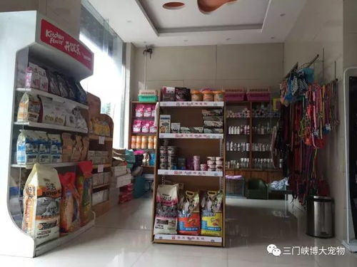 博大寵物醫院迎雙節送好禮