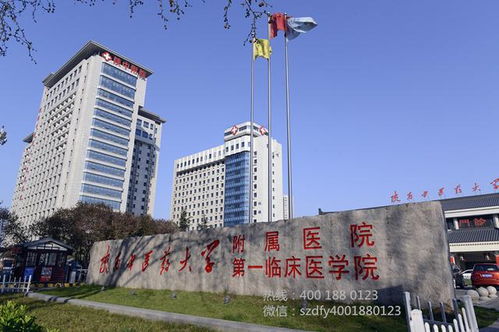 董博絲路行 在移動的 路邊診室 ,感受博大精深的中醫(yī)針灸