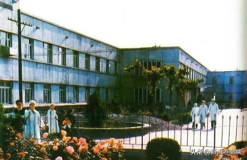 一組你可能沒見過的新沂的老照片