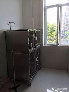 三門峽博大寵物醫(yī)院簡介