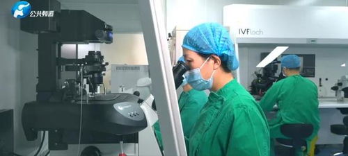 超越母愛的愛 鄭大二附院生殖醫(yī)學(xué)部譚麗主任