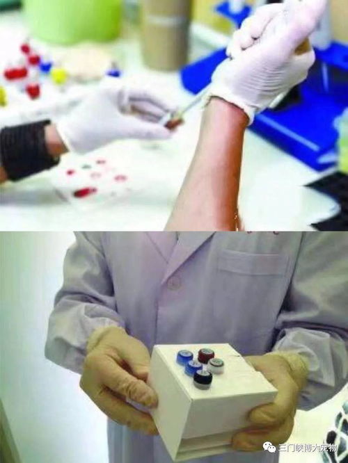 三門峽博大寵物醫院簡介