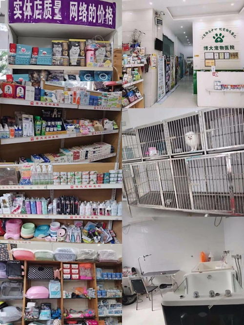 中秋國慶 雙節(jié)鉅惠 ,博大寵物醫(yī)院全場大促,中秋國慶不打烊