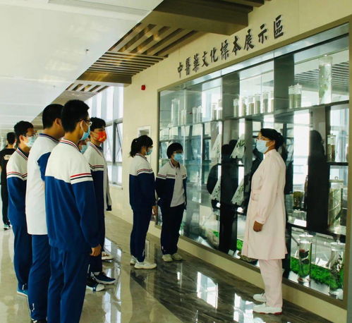 市實驗學校高二學生到淄博市中醫醫院東院區體驗中醫藥文化