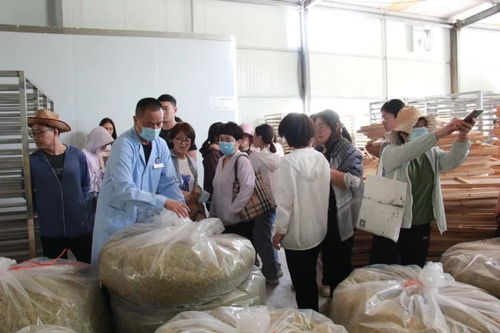 主題教育│四送四進四提升 發揚神農精神 傳承國藥精粹——濱州市中醫醫院聯合濱州市疾控中心、濱北街道總工會開展黨員志愿服務活動